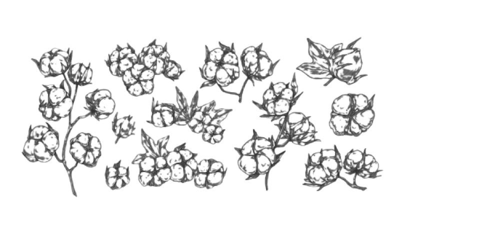 Are you looking for a digital marketing company in Tirupur that can help you achieve your online goals?